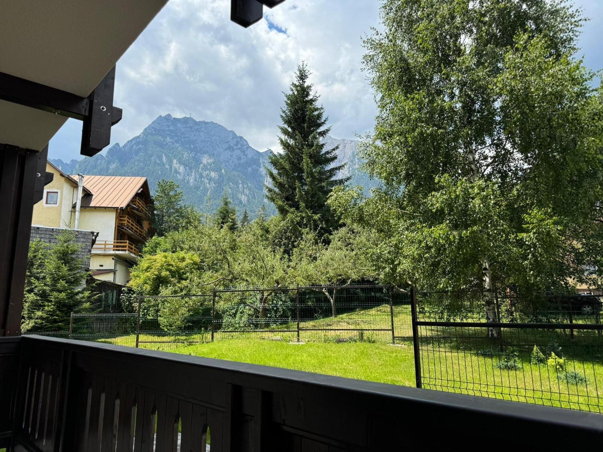 The View Apartment 3 Buşteni Eksteriør bilde